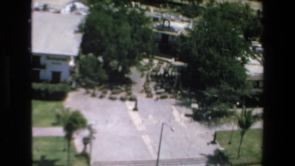 1972 Mazatlan home-movie frame showing part of the hotel obscured by trees, with lawn, pavement, a palm tree, and a streetlight visible below.