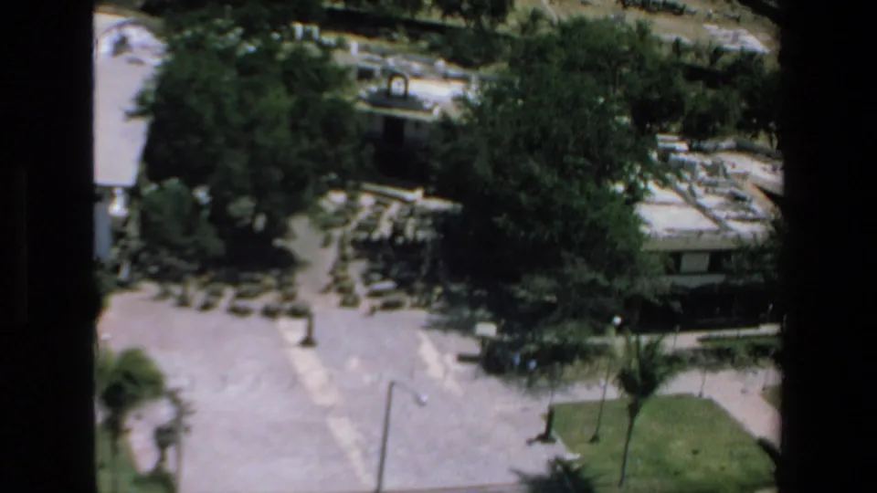 1972 Mazatlan frame looking down over hotel landscaping, with dense trees, a paved area, trimmed lawn, palm tree, and streetlight in view.