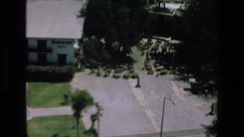 The camera shifts away from the woman to an elevated Mazatlan view with a building entrance, lawn, palms, shaded trees, pavement, and nearby street details.