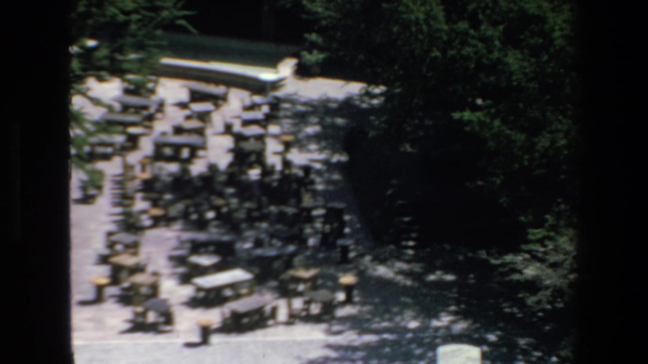 Elevated 1972 Mazatlan home-movie view of a roadway area with multiple vehicles, trees, and strong sunlight seen through soft 8mm exposure.