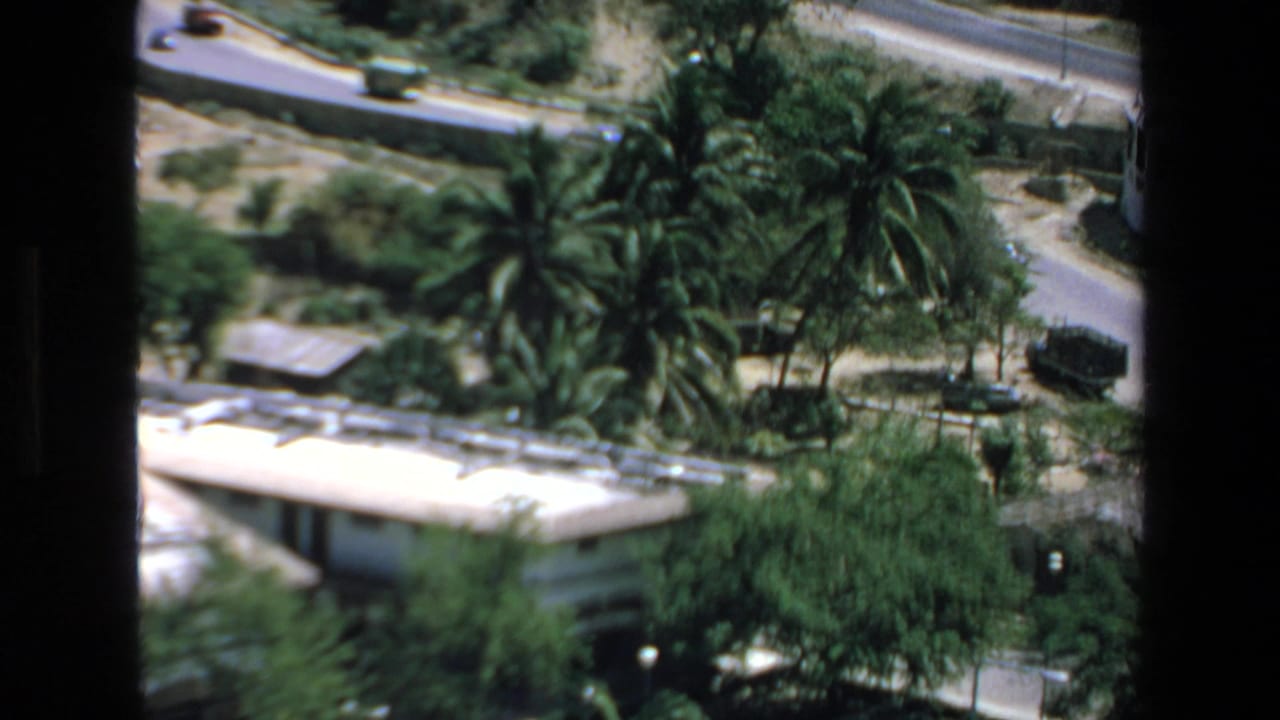 Palm trees and roadways around flat-roofed buildings viewed from above.
