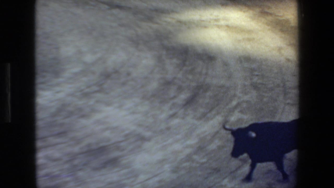 A black bull moves across the sandy bullring in 1972 Mazatlan, Mexico footage, framed by dark edges from the scanned 8mm film.