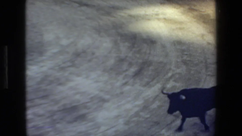 A black bull moves across the sandy bullring in 1972 Mazatlan, Mexico footage, framed by dark edges from the scanned 8mm film.