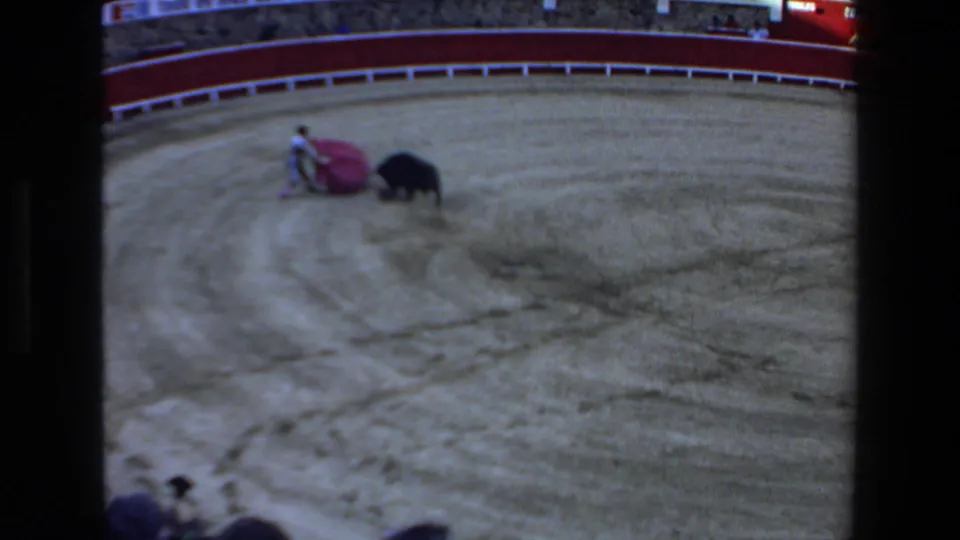 A bullfighter in light clothing holds a red cape while facing a black bull in the sandy Mazatlan bullring, with the curved barrier visible behind them.