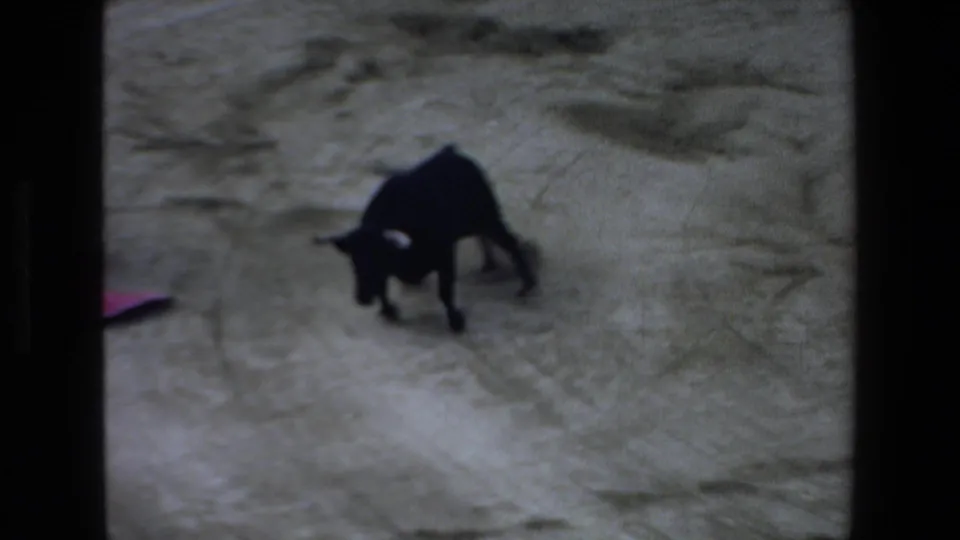 A black bull turns on the sandy bullring surface near a red cape at the edge of the frame, captured in soft, grainy 8mm color.