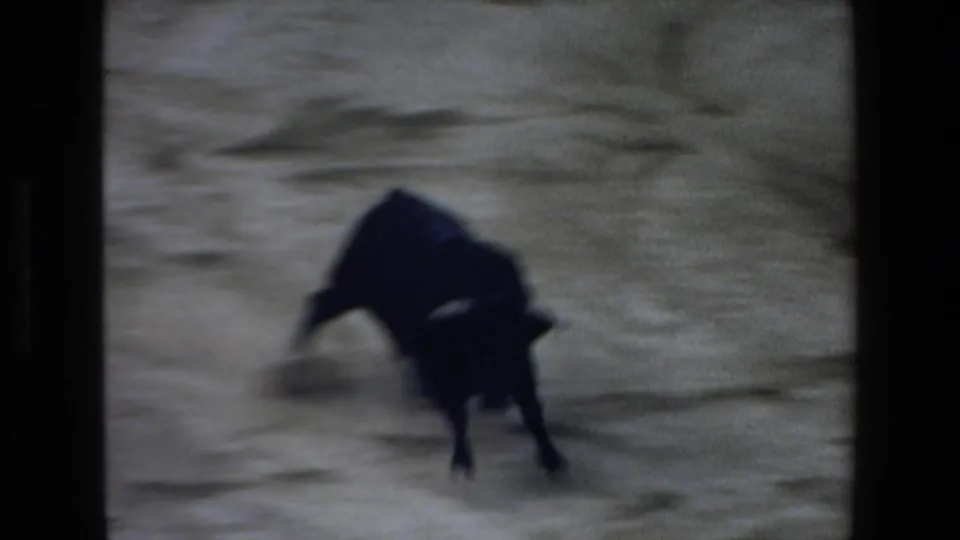 A black bull moves across the sandy bullring in 1972 Mazatlan home-movie footage, seen with heavy grain, blur, and dark frame edges.