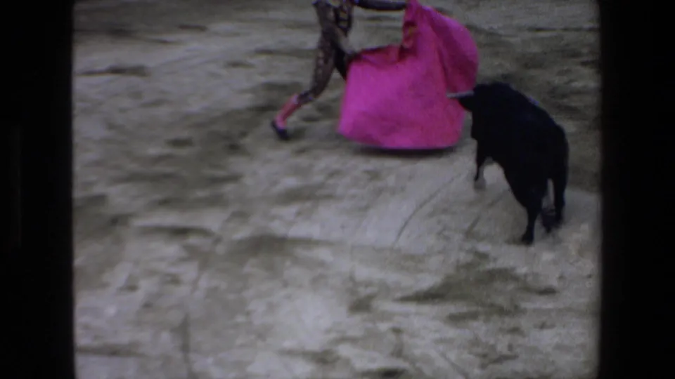 The black bull turns near the matador's bright pink cape in the Mazatlan bullring, with the performer partly cropped by the 8mm frame.