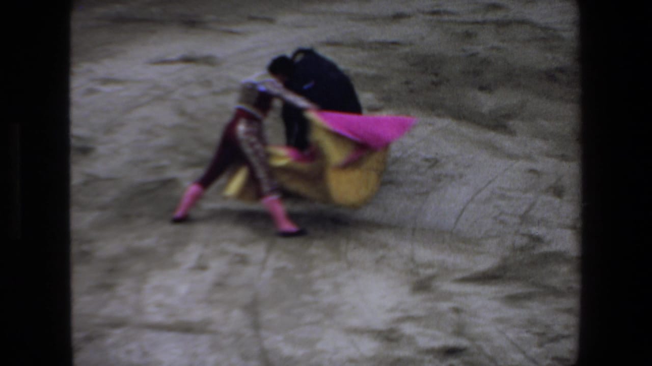 Matador kneels or crouches with a pink and yellow cape as the bull closes in.