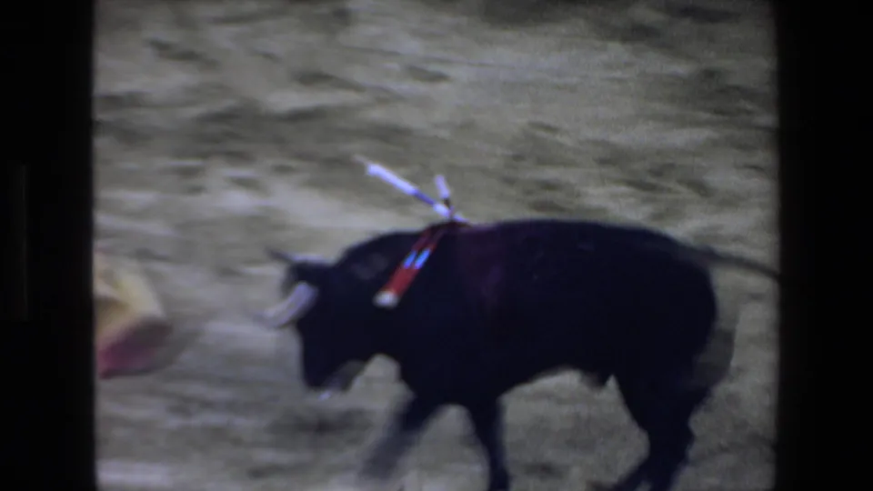 1972 Mazatlan frame showing a black bull with banderillas moving across the dusty arena as a pink cape blurs at the edge of the shot.