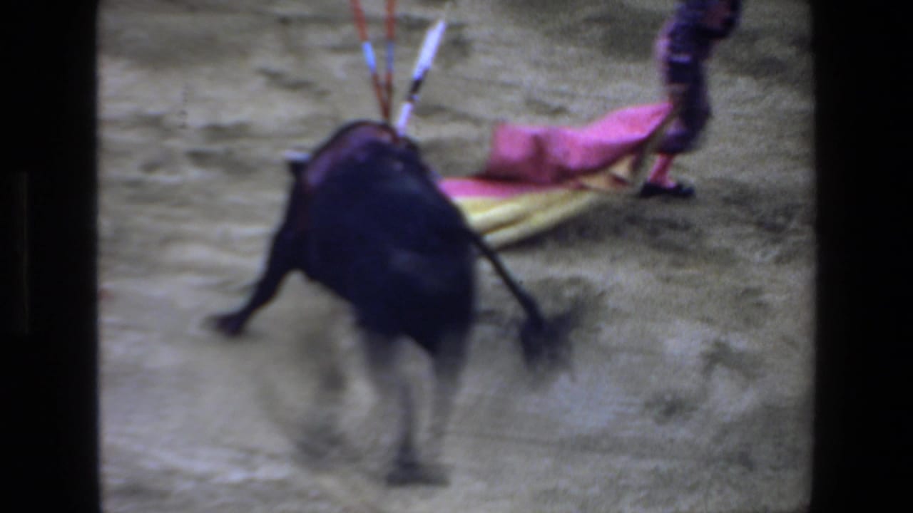 1972 Mazatlan home-movie frame showing a matador in bright pink and yellow costume close to a black bull in a dusty bullring.