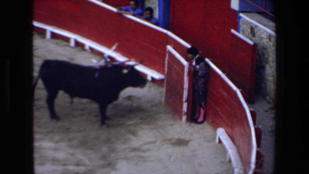 In a 1972 Mazatlan bullfighting arena scene, a black bull with banderillas moves toward a matador standing beside a red wooden barrier.