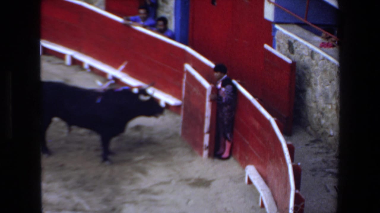 The black bull crosses the sandy Mazatlan arena toward a matador positioned near the red wooden barrier, with spectators visible above the ring.