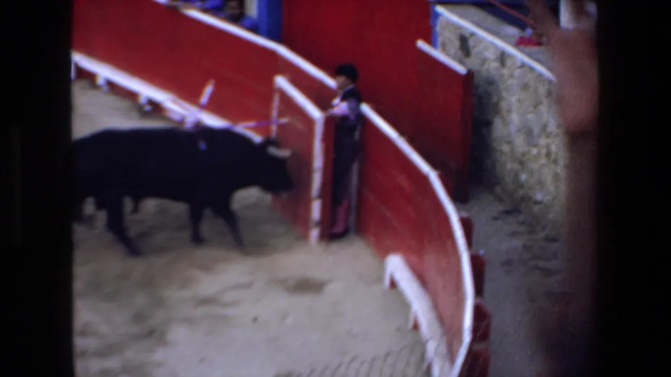 A matador in a patterned suit and pink stockings stands beside the red arena barrier while the bull passes close in the sandy ring.