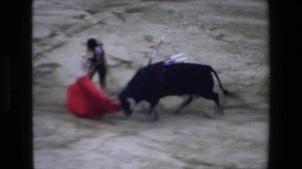 The black bull bends toward the red cape while the matador shifts position, captured in soft 8mm home-movie footage from the Mazatlan bullfight.