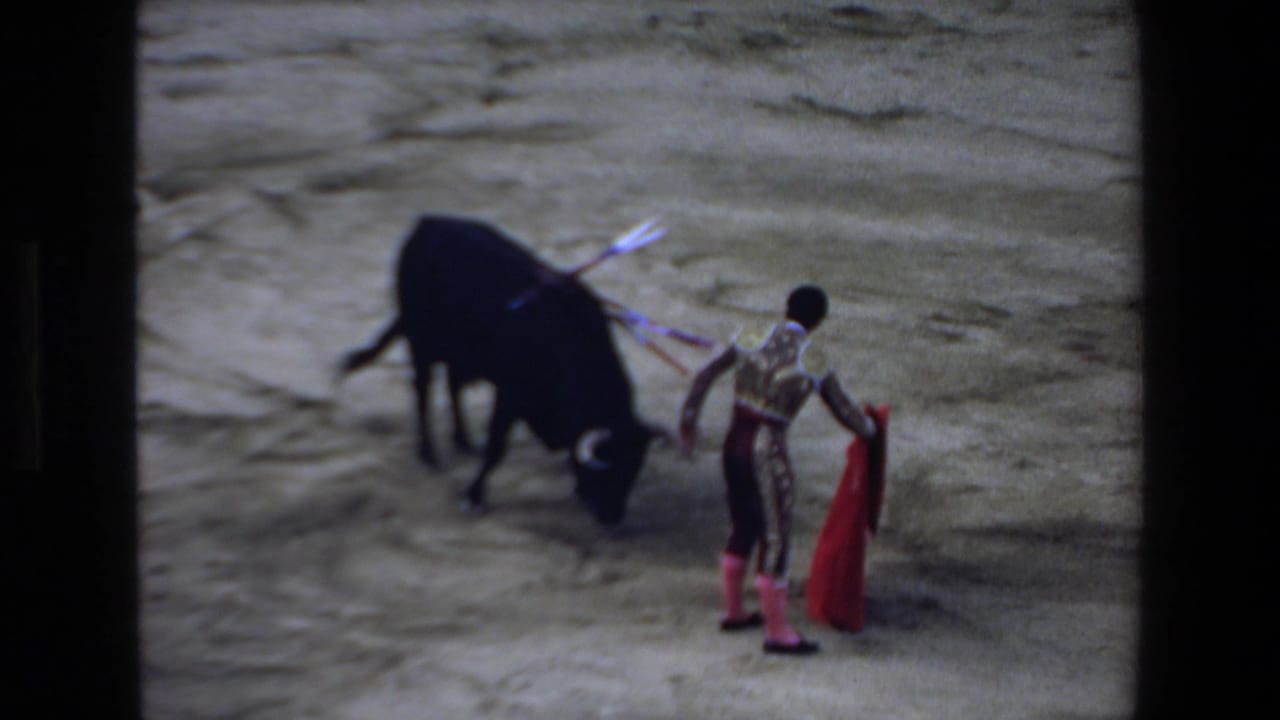 A black bull with banderillas lowers its head while the matador stands nearby holding a red cape in the sandy bullring.