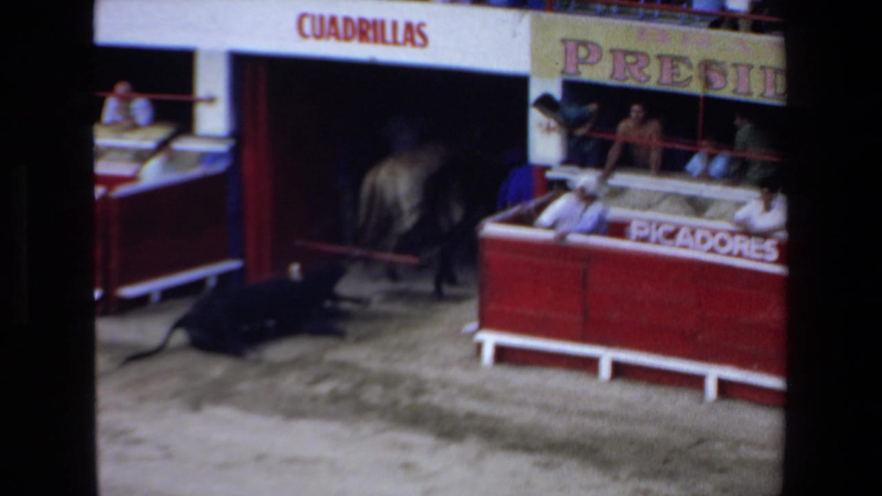 1972 Mazatlan home-movie frame showing a bullring scene with a dark bull lying on the sandy arena floor near red enclosures labeled CUADRILLAS and PICADORES.