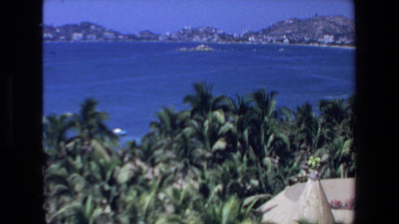 Blue water and distant hills seen above dense palm trees.