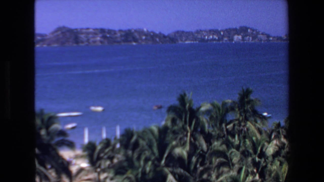 Coastal water with palm trees, boats, and hills beyond the bay.