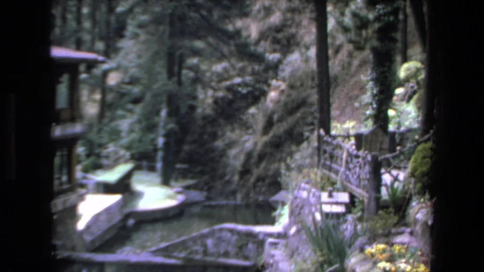 1972 Mazatlan home-movie frame showing a landscaped pond with stone borders, a small bridge, flowering plants, trees, and a wooden building edge.