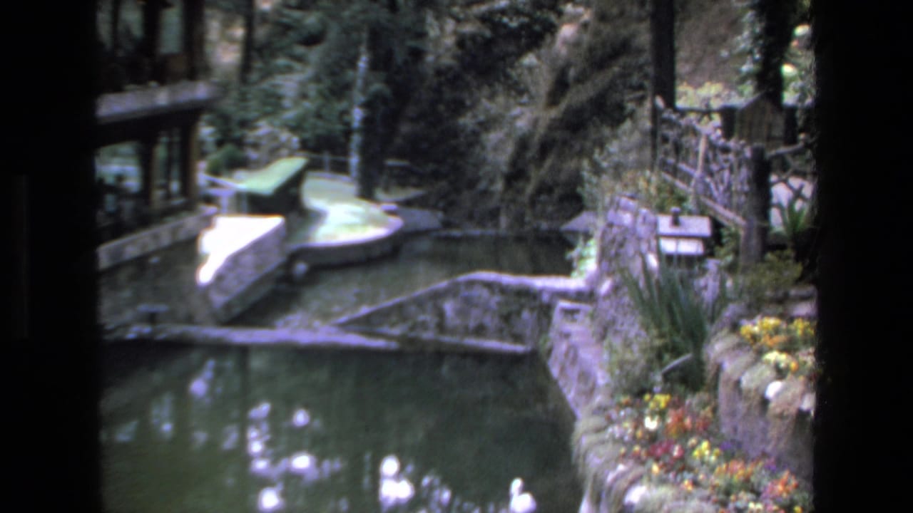 Pond, curved stone border, bridge railings, flowers, and dense trees in a garden setting.