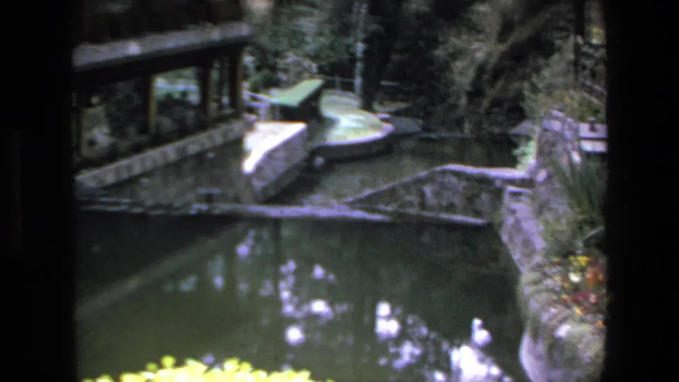 1972 Mazatlan home-movie frame showing a pond in the foreground with stone landscaping, flowers, tall trees, and a partial wooden structure at left.