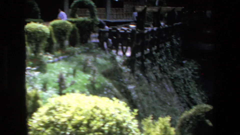 1972 Mazatlan resort-garden view with clipped shrubs, a planted bed, a walkway, and dark railings or furniture in the background.