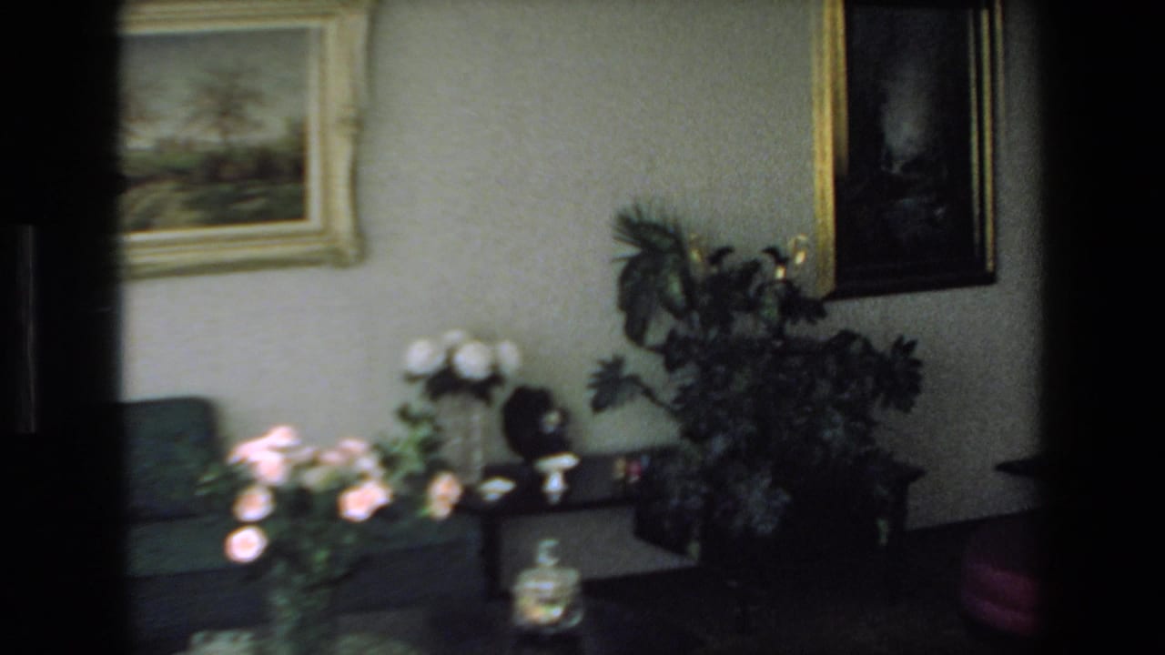 Living room wall with green couch, floral arrangements, framed paintings, and large leafy plant.
