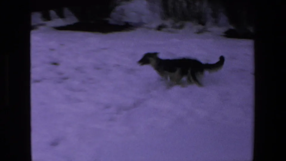 A black-and-white dog runs through the snowy yard, with trees or shrubs and film-frame edges visible in the 8mm footage.