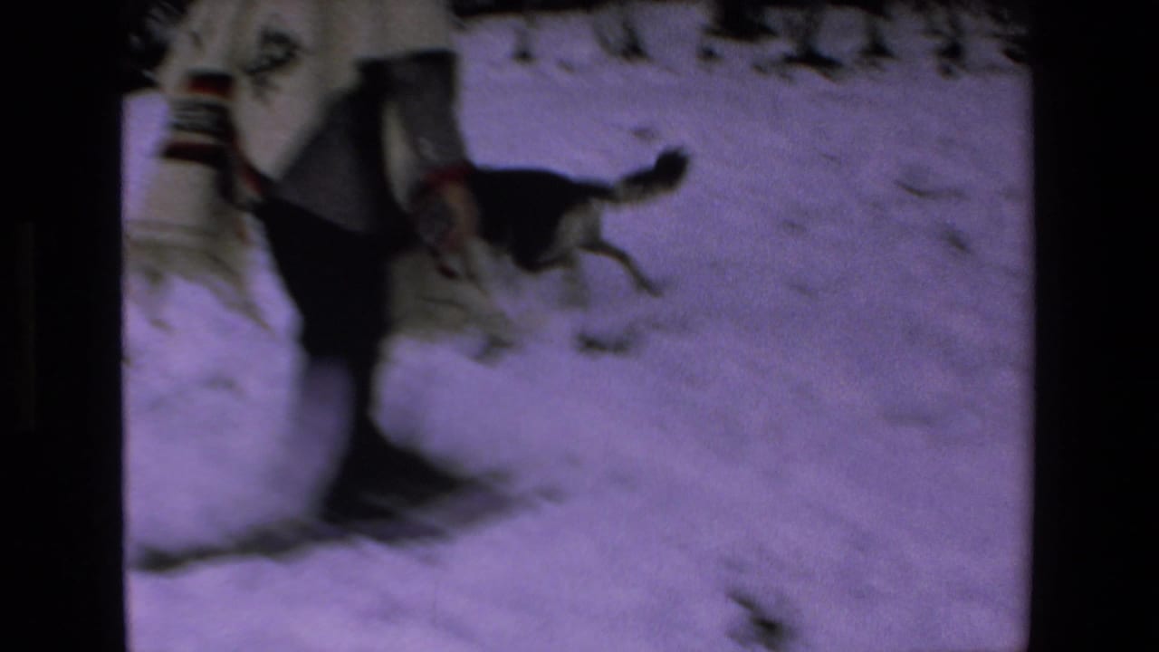 Dog near a person’s legs on snowy ground.