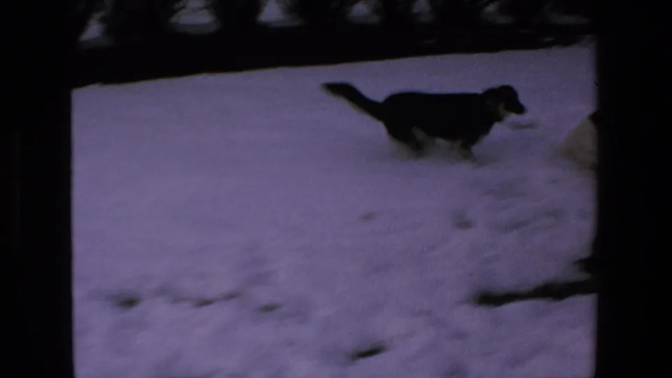 A black-and-white dog runs across a snowy yard in 1972-labeled 8mm home-movie footage associated with Mazatlan, Mexico.