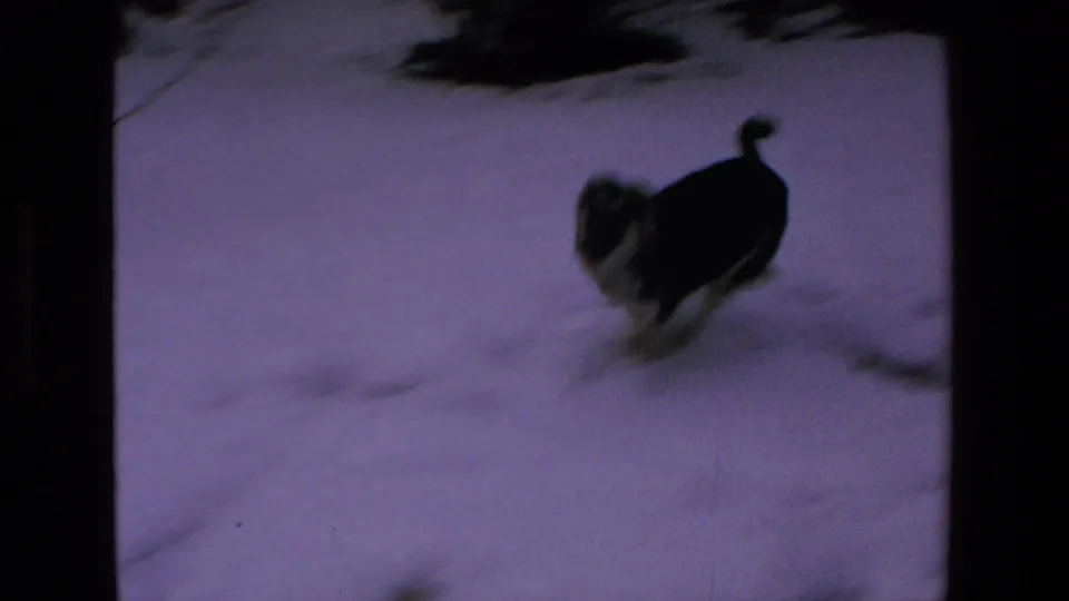 A black-and-white dog runs across snow in a dark-bordered 8mm home-movie frame from the supplied 1972 Mazatlan clip.