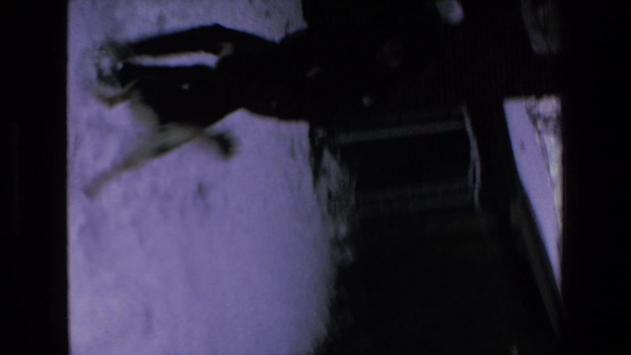 In 1972 8mm home-movie footage associated with Mazatlan, Mexico, a dark dog stands on snow near an adult in a dimly lit outdoor area.