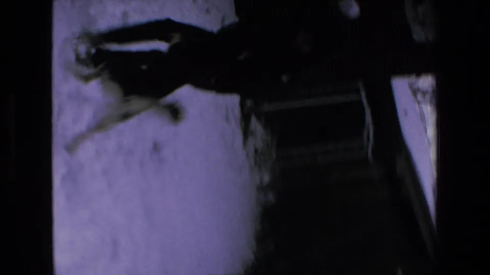 In 1972 8mm home-movie footage associated with Mazatlan, Mexico, a dark dog stands on snow near an adult in a dimly lit outdoor area.