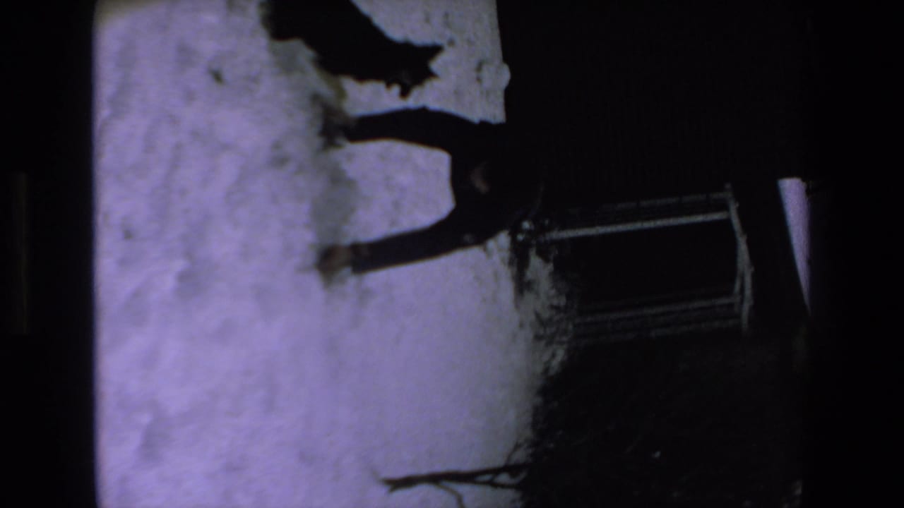 Dog and standing adult silhouetted against snow beside a dark structure.