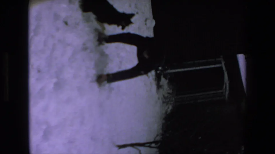 A dark dog appears near a standing adult on snow, with a window or railing visible along the edge of the dim nighttime frame.
