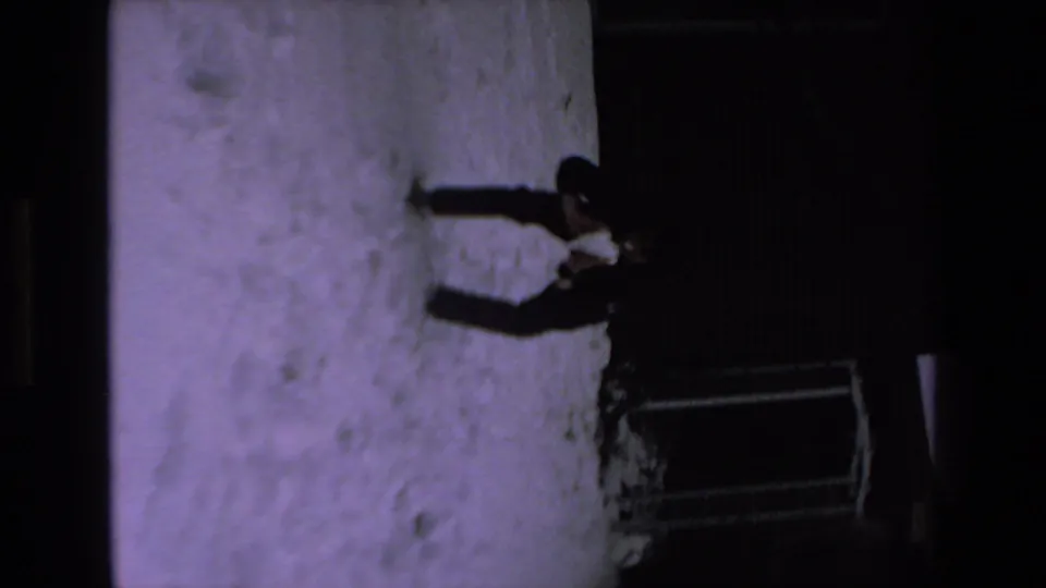 An adult stands on the snow at night near a dark exterior wall and window area after the dog has moved out of the frame.