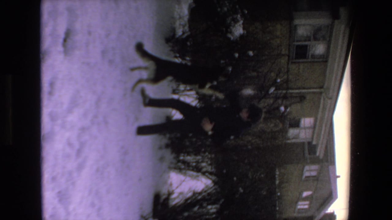 Person and dog moving on snow in front of a building and shrubs.