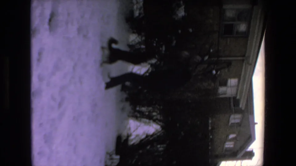 The dog and a dark-clothed person cross the snowy yard near shrubbery, with the building facade partly visible in the background.