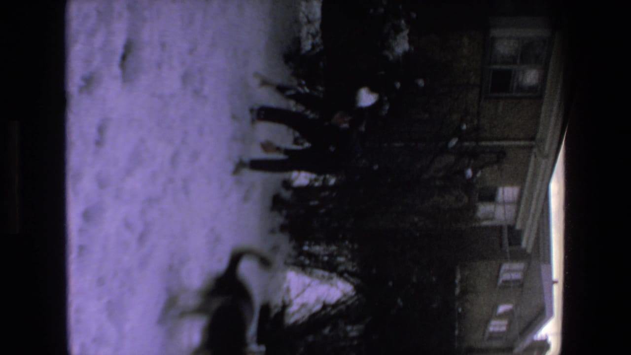 In this 1972 8mm home-movie frame, a dark dog appears mid-leap across a snowy residential yard with shrubs and part of a house visible behind it.