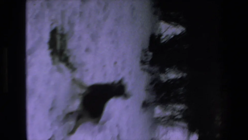 A blurred dark dog crosses the snow in a residential yard, with bushes and dark frame borders emphasizing the handheld 8mm home-movie view.