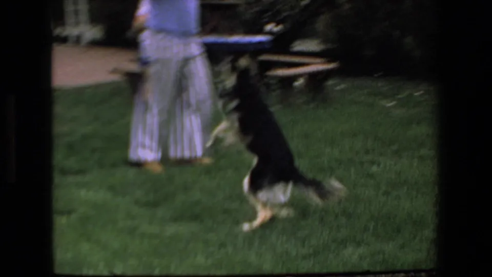 A black-and-white dog runs through a green yard as a partly visible person stands nearby, with a stick and backyard furniture or garden objects visible in the soft 8mm frame.
