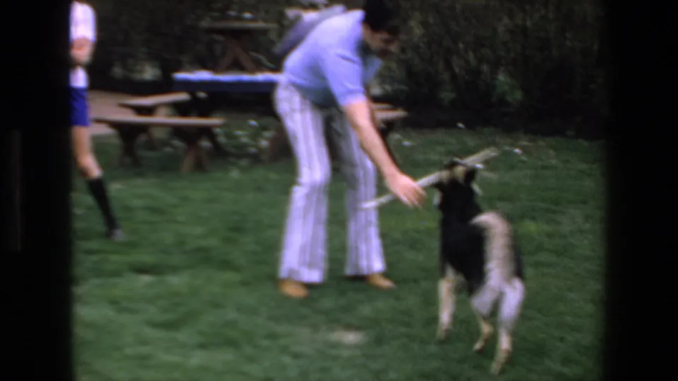 An adult in a light blue shirt and striped pants reaches toward the dog on a grassy backyard area, with patio furniture and another partly visible person in the background.