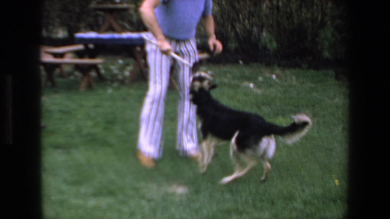 In a 1972 Mazatlan home-movie frame, a man in striped pants plays with a black-and-white dog on a grassy backyard lawn.