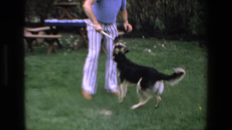 In a 1972 Mazatlan home-movie frame, a man in striped pants plays with a black-and-white dog on a grassy backyard lawn.