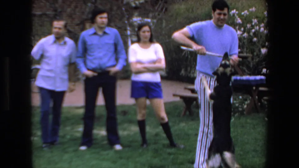 A black-and-white dog reaches up toward a stick held by a man in striped pants, with three adults watching in a Mazatlan backyard scene from 1972.