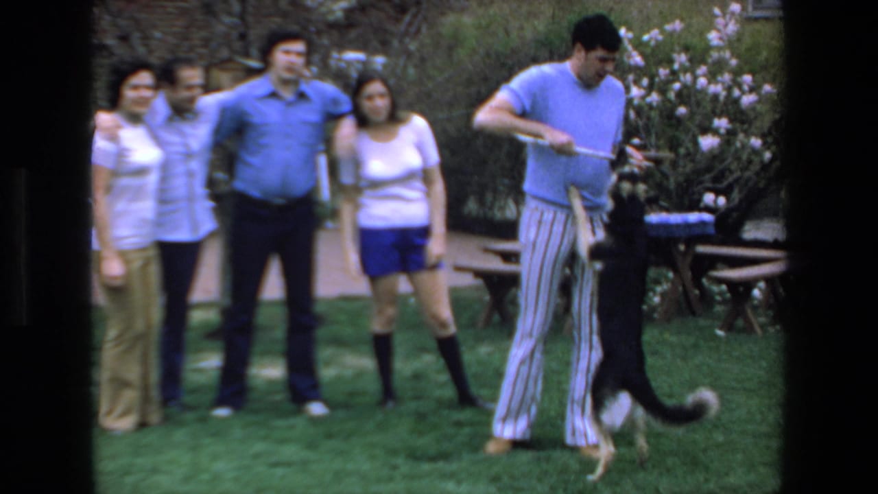 In the Mazatlan 1972 backyard scene, the man in striped pants keeps the dog engaged with a stick while four adults stand together on the lawn.