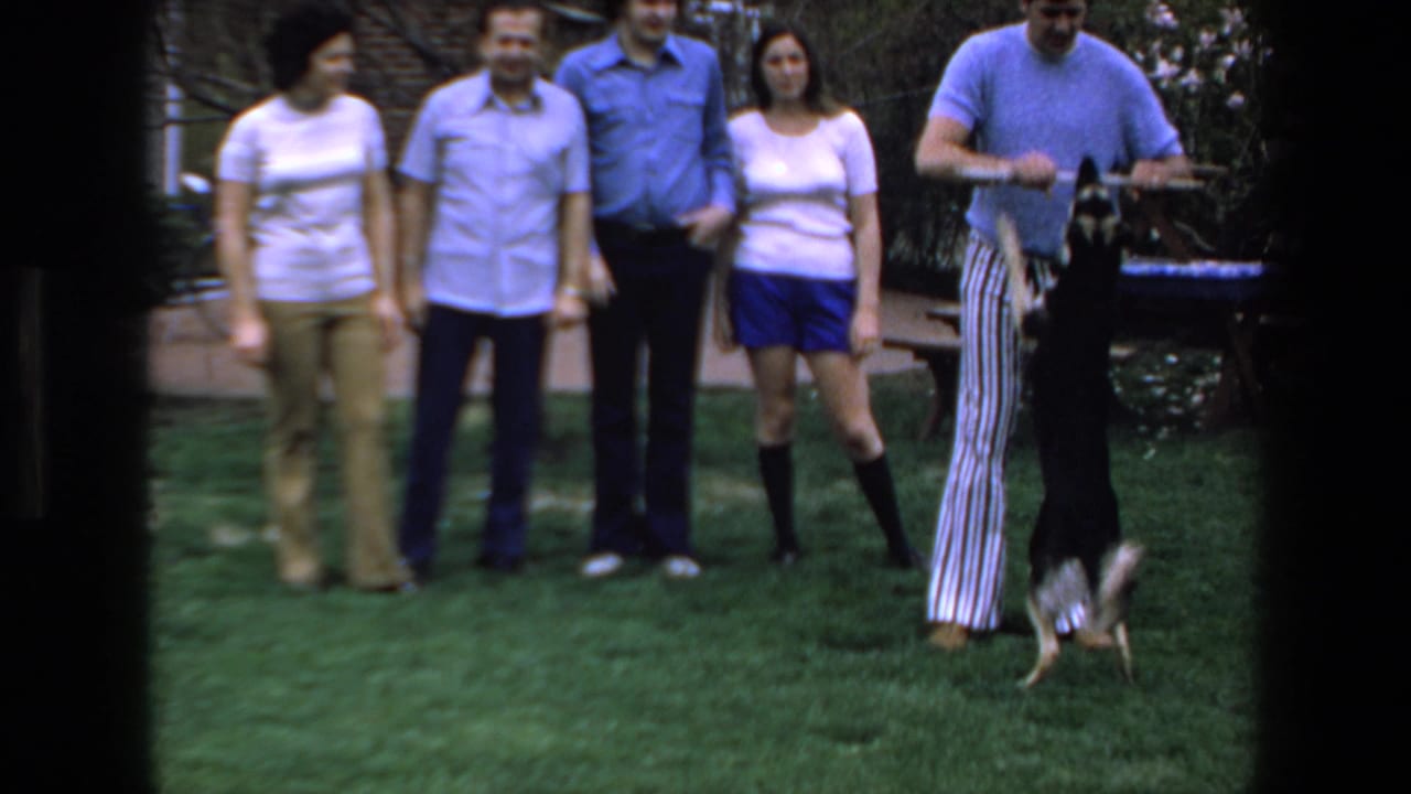 In the Mazatlan 1972 home movie, a dog rises onto its hind legs near a man with a stick while four adults stand watching on the grass.