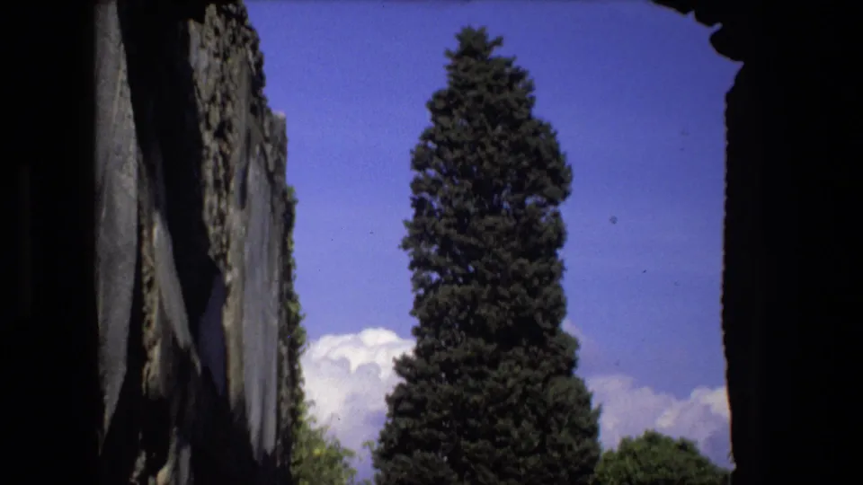 1973 Rome 8mm frame showing a tall evergreen tree rising between dark ruin walls, with blue sky and white clouds in the background.