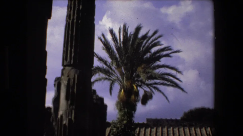 1973 Rome 8mm frame showing a palm tree next to a weathered column, with dark foreground framing and a low tiled roofline in the ruins.