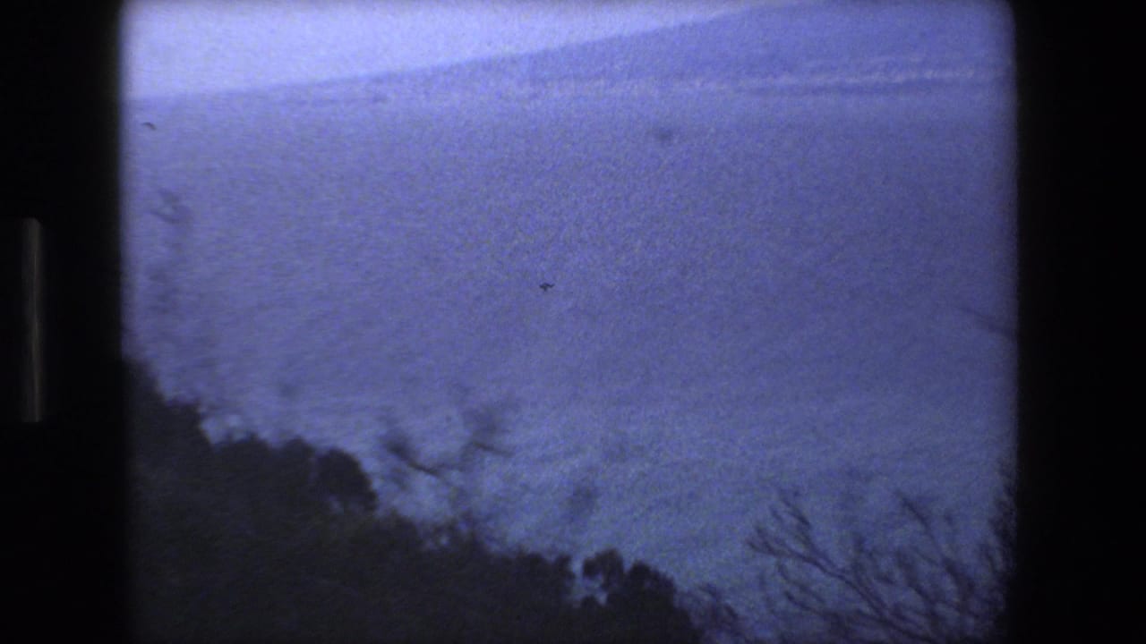 A moving-car view looks across the blue Mediterranean toward a hazy horizon, with dark hillside vegetation and bare branches cutting into the 8mm frame.